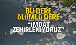 Zonguldak, Karabük ve Bolu zehirleniyor! Bu dereden ölüm akıyor