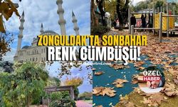 Zonguldak’ta sonbahar renk cümbüşü!