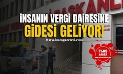 İnsanın Vergi Dairesine gidesi geliyor!