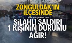 Zonguldak'ın ilçesinde silahlı saldırı! 1 kişi ağır yaralandı