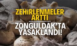 Zonguldak'ta artan zehirlenme vakaları nedeniyle mantar yasaklandı!