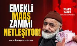 2025 Yılı Emekli Maaşı Zammı Netleşiyor! | Emekli Zam Haberleri