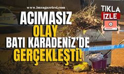 Acımasız olay Batı Karadeniz'de gerçekleşti! Çöp konteynerinin yanına bırakıldı! | Asayiş Haber