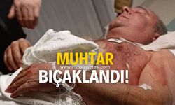 Çıkan kavgada muhtar bıçaklandı