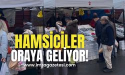 Tezgahların göz bebeği yerli hamsi kendini gösterdi!