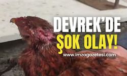 Devrek’de tepki çeken olay!