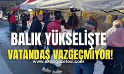 Balık fiyatları yükselişe geçti!