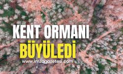 Kent ormanı büyüledi!