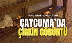 Çaycuma’da tepki çeken görüntü!