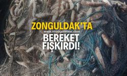 Zonguldak'ta bereket fışkırıyor