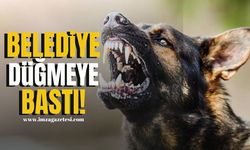 Gülüç beldesinin ayağa kaldıran köpek saldırısı sonrası düğmeye basıldı!