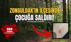 Zonguldak'ın ilçesinde 5 yaşındaki çocuğa saldırı! Mahalleli ayağa kalktı!