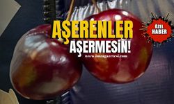 Aşerenler aşermesin!