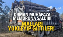 Orman Muhafaza Memuruna saldırı!