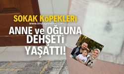 Sokak köpeği anne ve küçük oğluna saldırdı