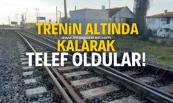 Trenin çarpmasıyla telef oldular