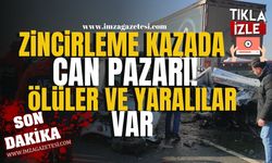 Van'da can pazarı! Zincirleme kaza birçok can aldı! | Asayiş Haber