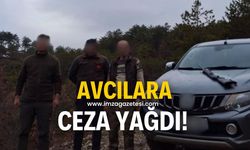 Avcılara ceza yağdı