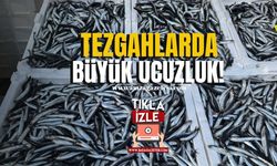 Zonguldak’ta Tezgahta Ucuz Balık Yoğun İlgiyi Beraberinde Getirdi!