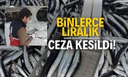 Binlerce liralık ceza yağdı