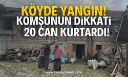 Komşunun dikkati 20 can kurtardı