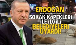 Cumhurbaşkanı Erdoğan'dan başıboş sokak köpeği sorununa ilişkin açıklama