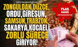 Düzce, Giresun, Ordu, Trabzon, Sakarya, Kocaeli, Samsun Zonguldaklı fındık üreticileri için zorlu süreç başlıyor! |