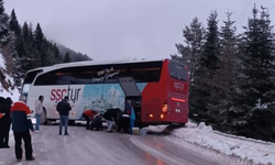 Yolcu otobüsü yoldan çıktı