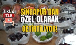 Bu meyveler Singapur'dan özel olarak getiriliyor!