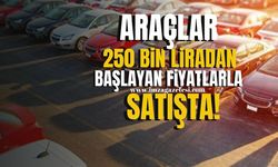 Kamu Araçları Satışta...Fiyatlar 250 Bin Liradan Başlıyor!