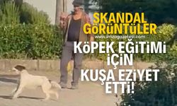 Köpeğini eğitmek için güvercine eziyet etti! Skandal görüntüler