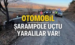 Otomobil şarampole uçtu! Yaralılar var