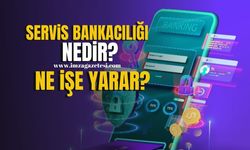 Servis Bankacılığı: Nedir, Ne İşe Yarar?