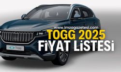 Togg, 2024’ü Elektrikli Otomobil Pazarında Zirvede Tamamladı | Otomobil