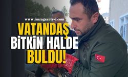 Vatandaş bitkin halde buldu! | Karabük Haber