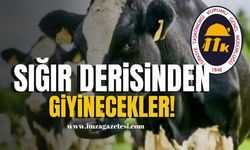 Sığır derisinden giyinecekler! | Zonguldak Haber