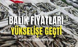 Balık fiyatları yükselişe geçti!