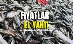 Fiyatlar ek yaktı! Vatandaş şaşırdı kaldı