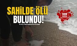 Zonguldak Sahili'nde ölü bulundu!