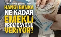 2025 Şubat Ayı Güncel Emekli Promosyonları: Hangi Banka Ne Kadar Ödüyor?