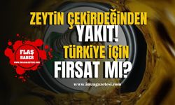 Zeytin Çekirdeğinden Yakıt! Türkiye İçin Büyük Fırsat mı?