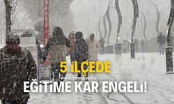 Bolu'da 5 ilçede okullar tatil edildi