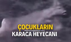 Çocukların karaca heyecanı