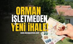 Dirgine Orman İşletme Müdürlüğü’nden Yeni İhale!