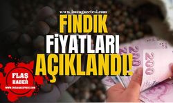 Giresun, Ordu, Sakarya, Trabzon, Samsun, Kocaeli, Düzce ve Zonguldak’ta Fındık Fiyatları Açıklandı! | Fındık Haberleri