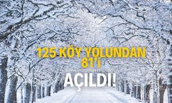 Kar yağışından kapalı 125 köy yolundan  81’i açıldı!