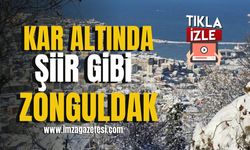 Kar altında şiir gibi Zonguldak… | Zonguldak Haberleri