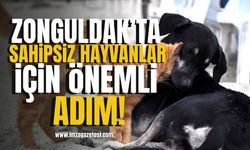 Zonguldak’ta Sahipsiz Hayvanlar İçin Önemli Adım! | İmza