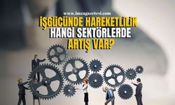 Türkiye’de İşgücü Hareketlendi! Hangi Sektörlerde Artış Var?