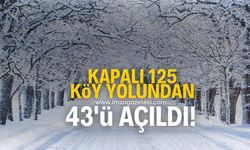 Kar yağışından kapalı 125 köy yolundan 43’ü açıldı!